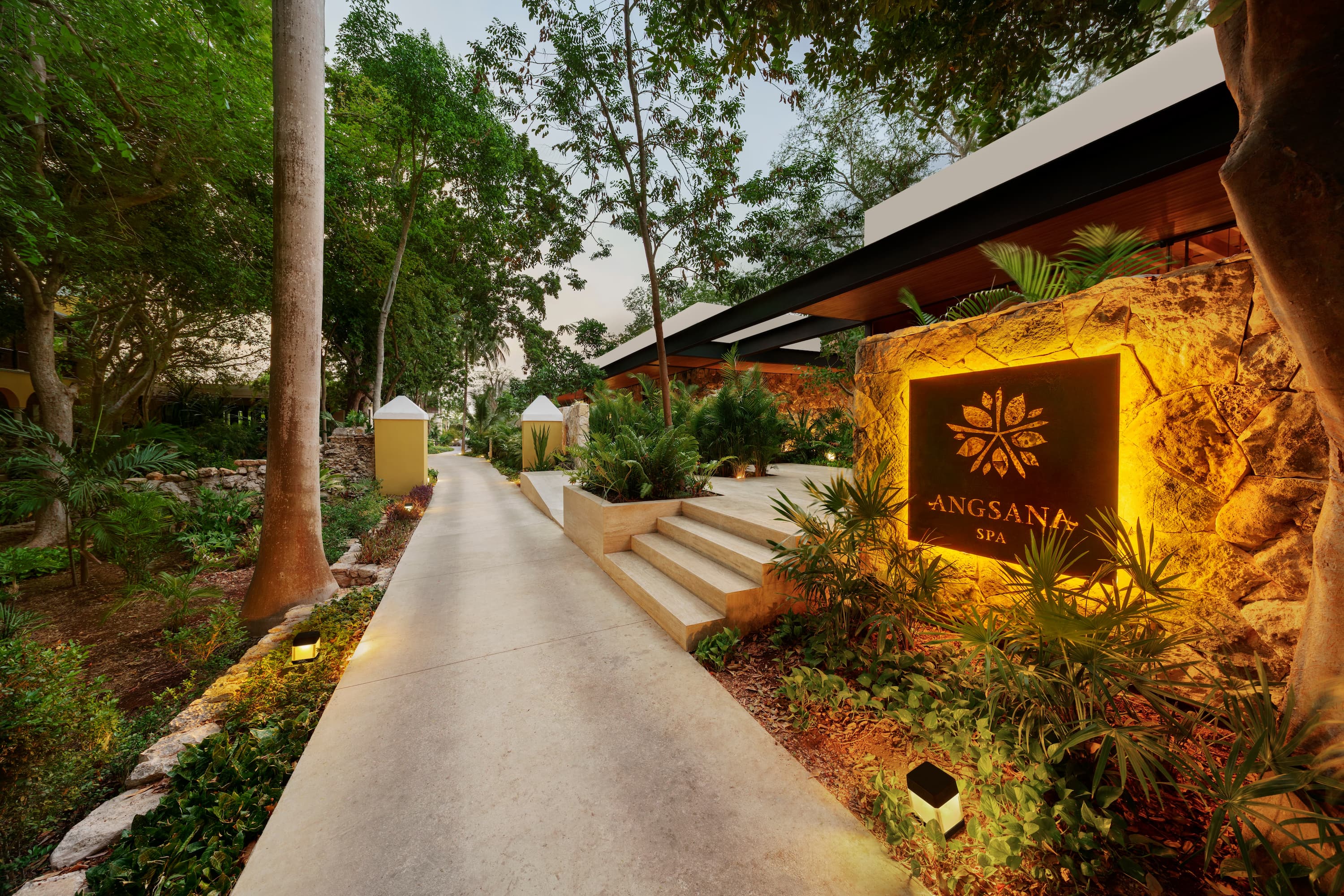 wellness retreats mexico